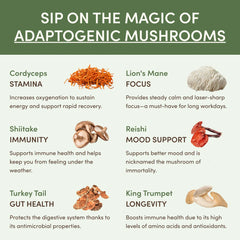 Matcha Starter Kit - 60 Servings